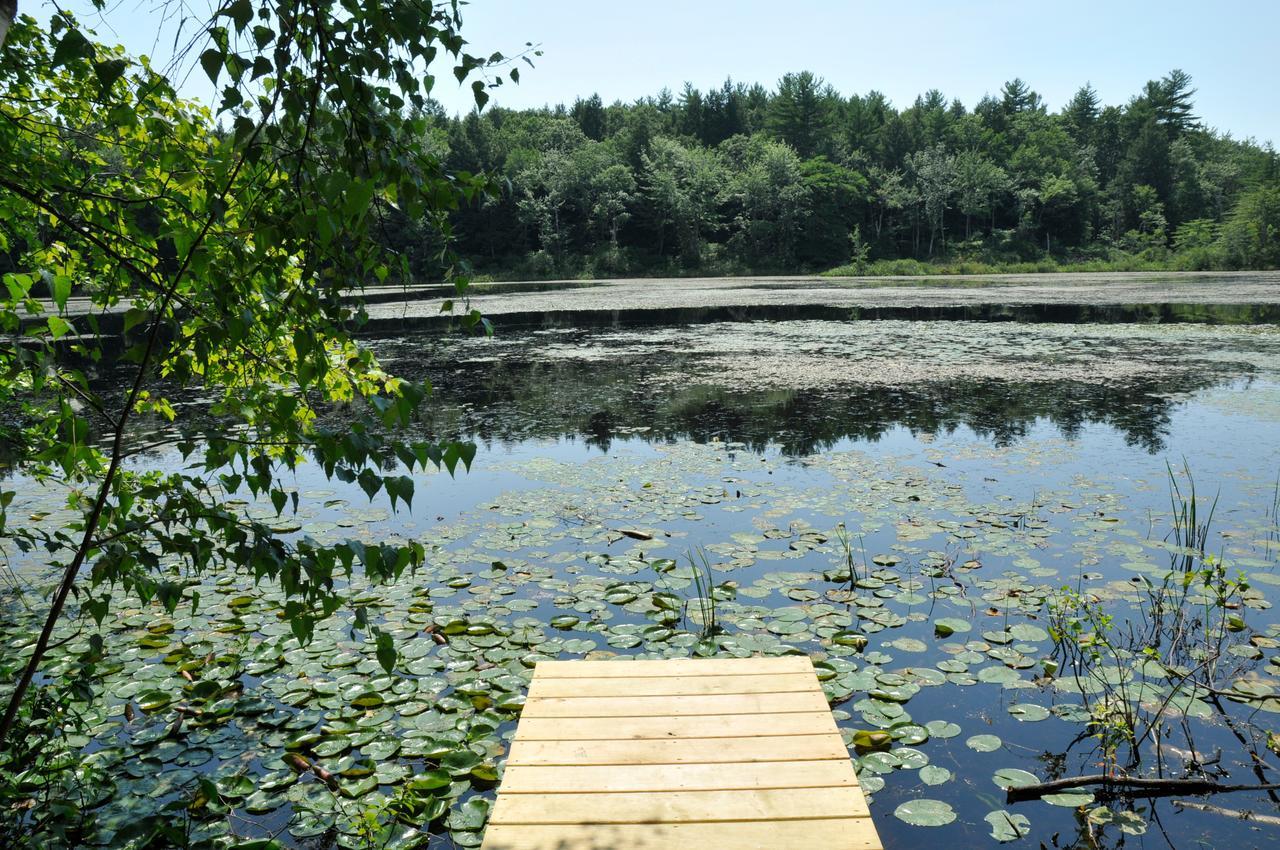 Tuxbury Pond Camping Resort Tiny House Murphy South Hampton Exteriör bild